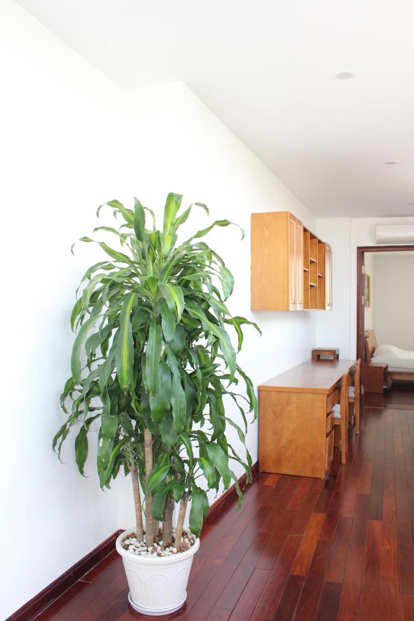 Davidduc's 5/41 Tay Ho Appartement